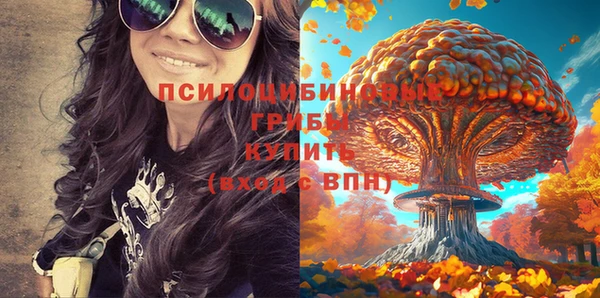 соль ск Алексин