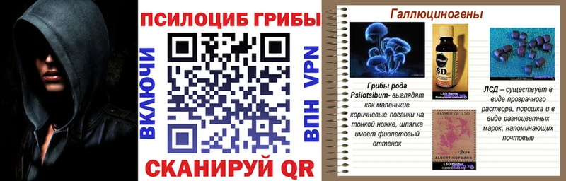 Псилоцибиновые грибы мицелий Крымск