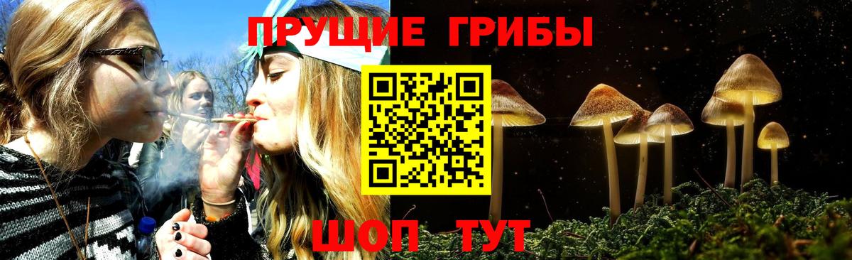 Галлюциногенные грибы мицелий Крымск